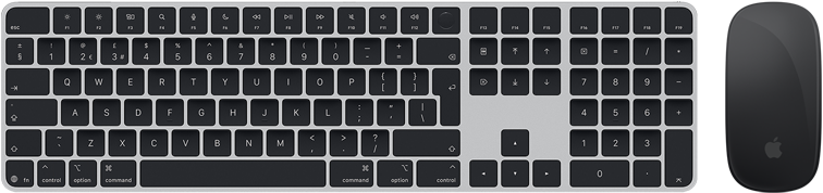 Top view of Magic Keyboard with Touch ID and Magic Mouse