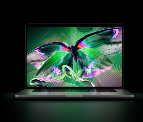 MacBook Pro with PROLED XDR Display, open lid, silver colour, display shows detailed, high-contrast image with vivid colours, screen illuminates keyboard